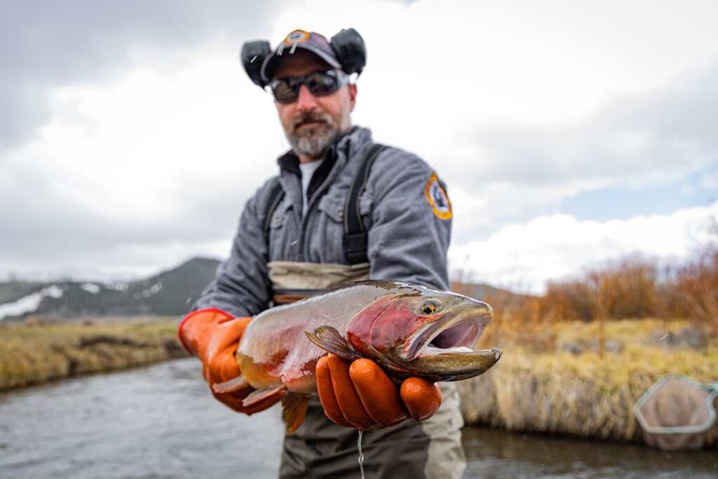 Native Fish Recovery & World Trout Initiative - Patagonia